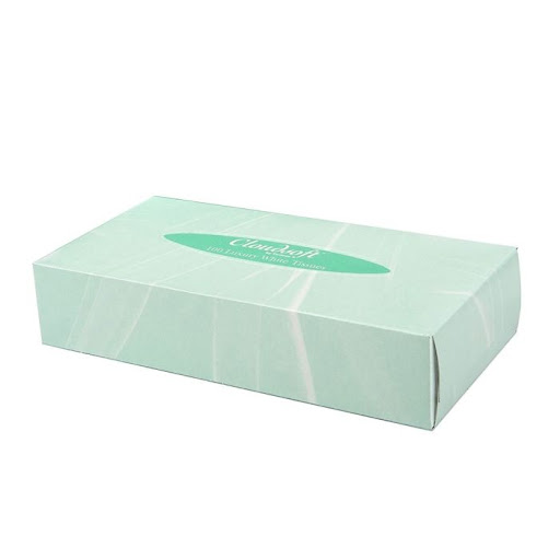 Cloudsoft Facial Tissues 2ply Oblong Box, 210x198mm sheet size 36x100sh
